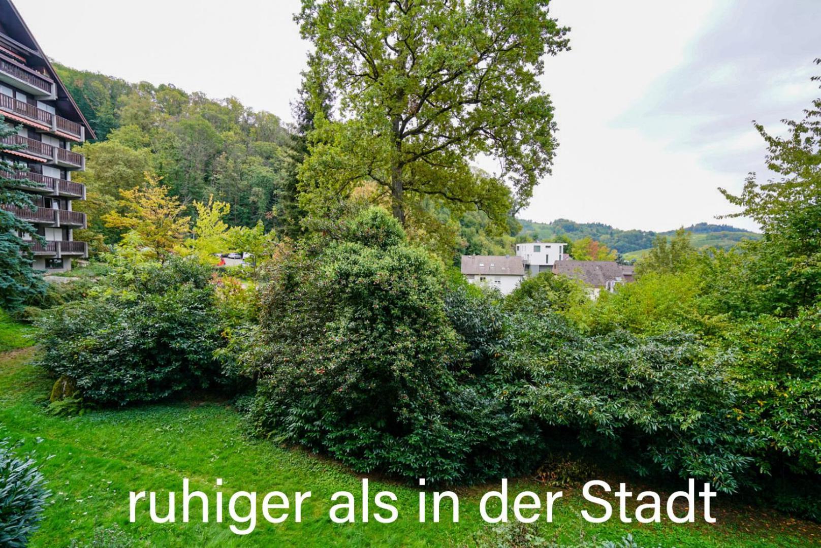 Gaishoell-Wasserfaelle Apartment Schwarzwald Sasbachwalden Exterior photo